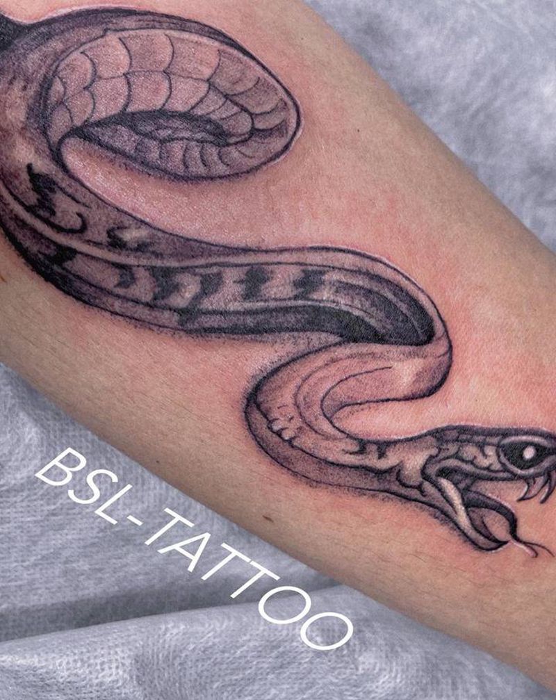 自帶图：蛇纹身图片_腿部点刺蛇纹身图案