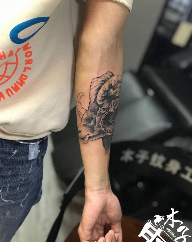 羊（未完待续）纹身图片_手臂纹身图案