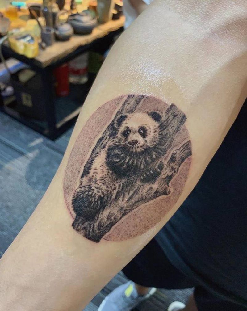 黑灰写实·熊猫纹身图片_手臂点刺欧美写实纹身图案