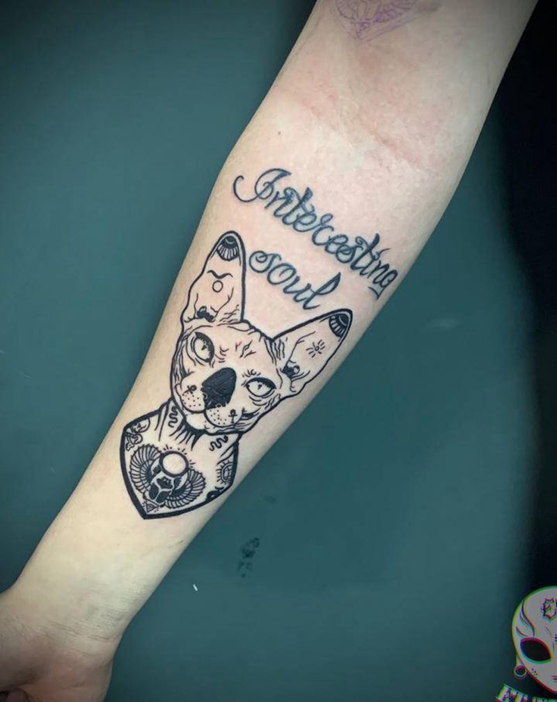 无毛猫纹身图片_手臂手部纹身图案