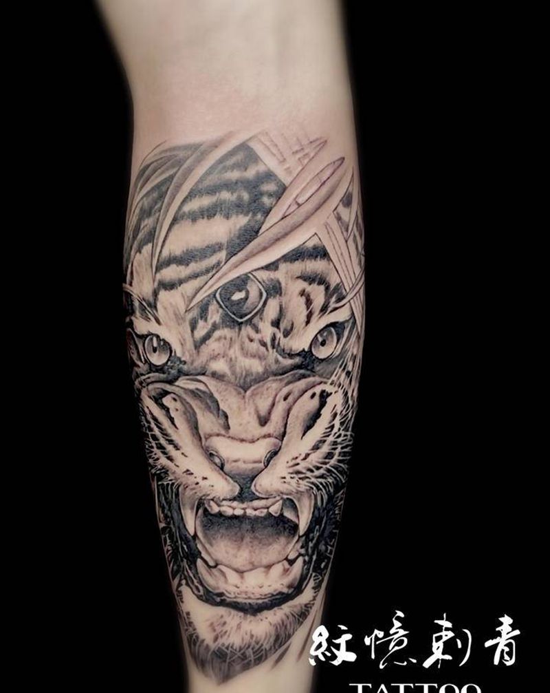 写实老虎待续纹身图片_腿部欧美写实纹身图案