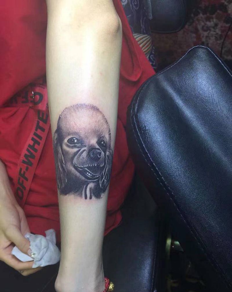 宠物狗贵宾和宠物猫咪。纹身图片_手臂欧美写实纹身图案