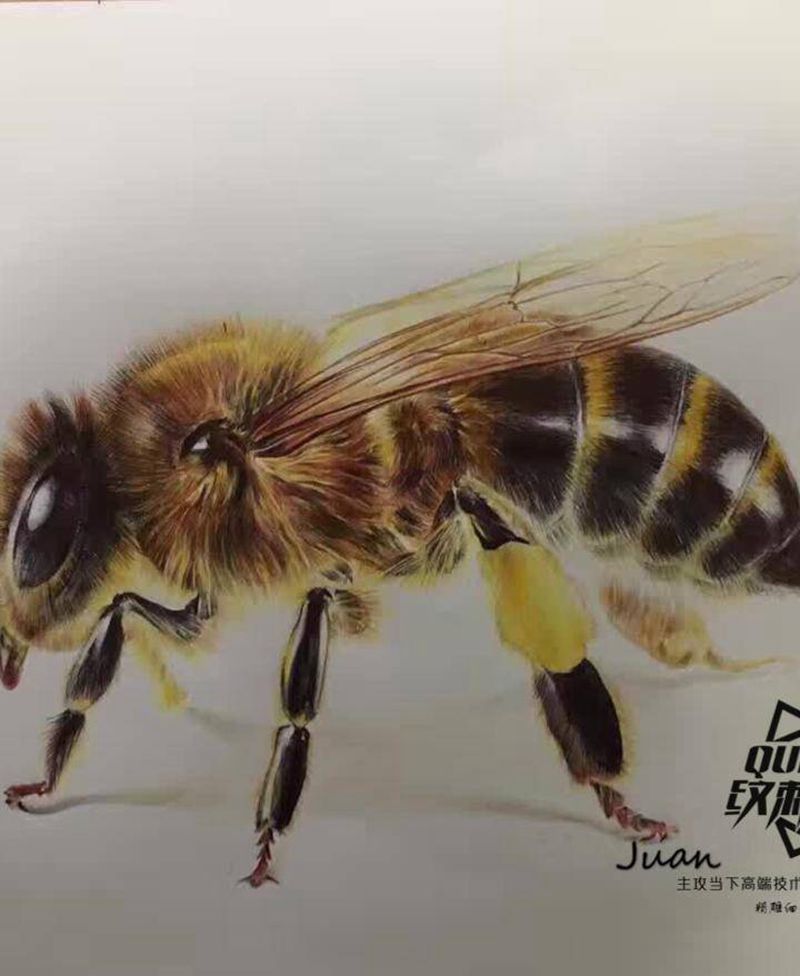 彩铅素描～纹身图片_欧美写实纹身图案