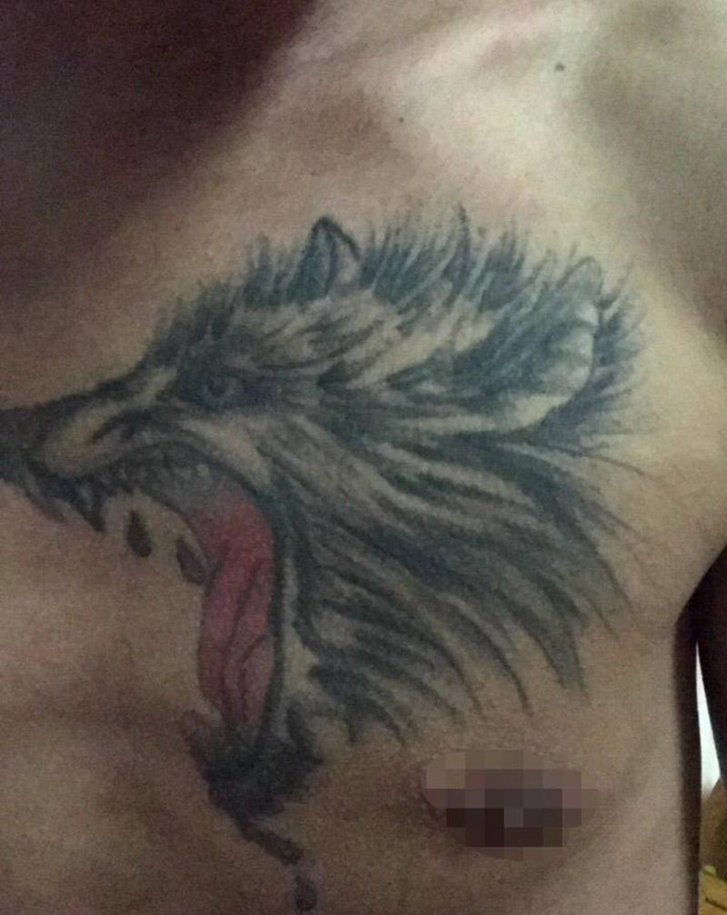 覆盖篇纹身图片_胸部新传统水墨纹身图案