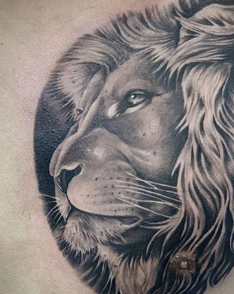 狮子纹身图片_胸部欧美写实纹身图案