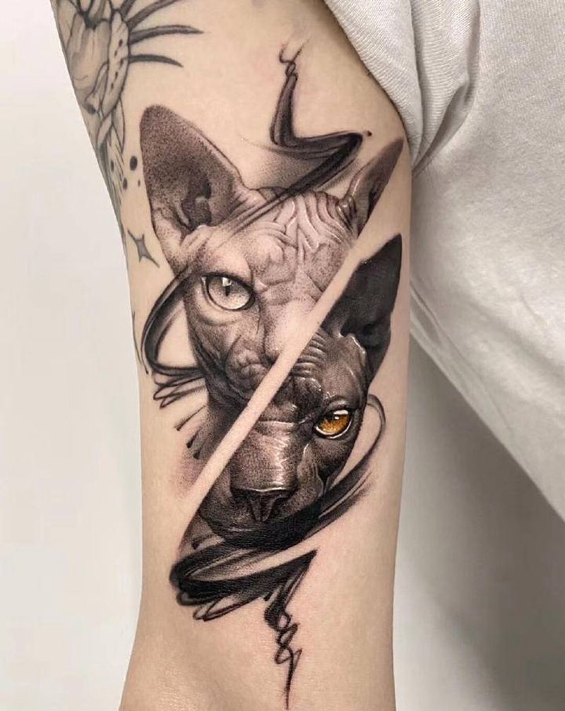 写实无毛猫纹身图片_手臂欧美写实原创无毛猫纹身图案