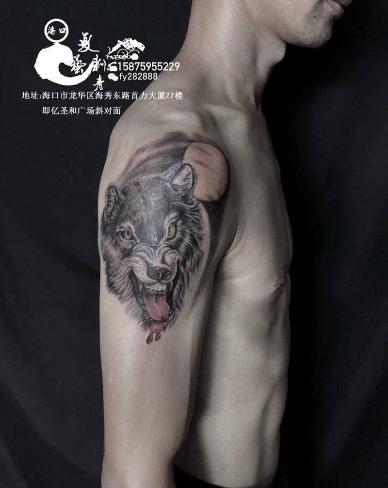 七八年没纹狼头了纹身图片_肩部新传统纹身图案