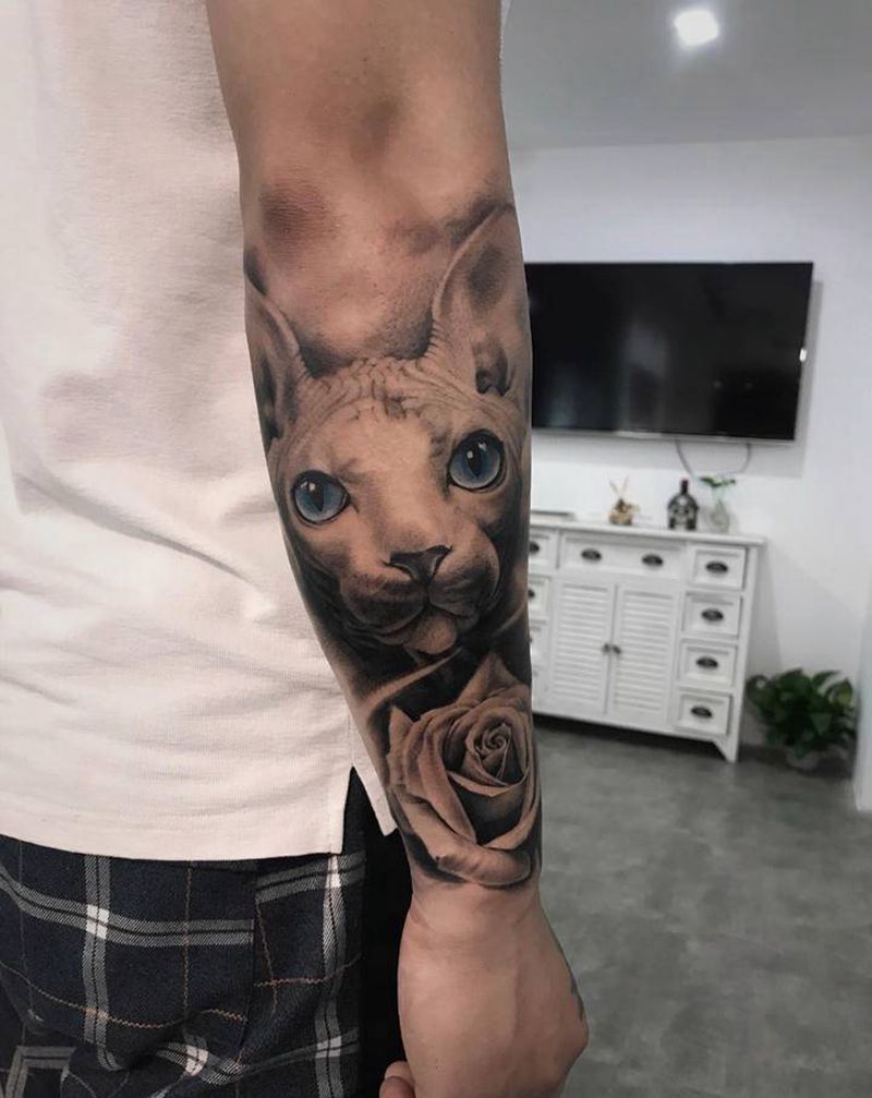 无毛猫未完待续【根作品】纹身图片_手臂欧美写实无毛猫玫瑰原创纹身图案