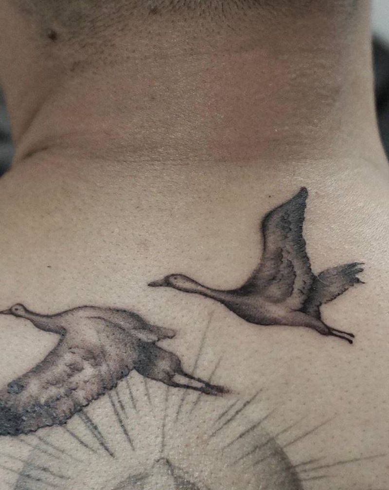 鸟纹身图片_背部纹身图案