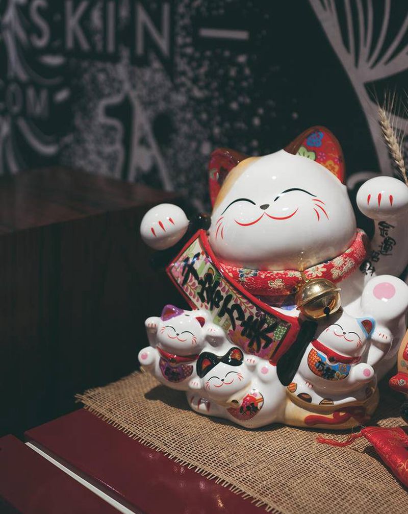 局猫纹身图片_肩部胸部老传统Old School纹身图案