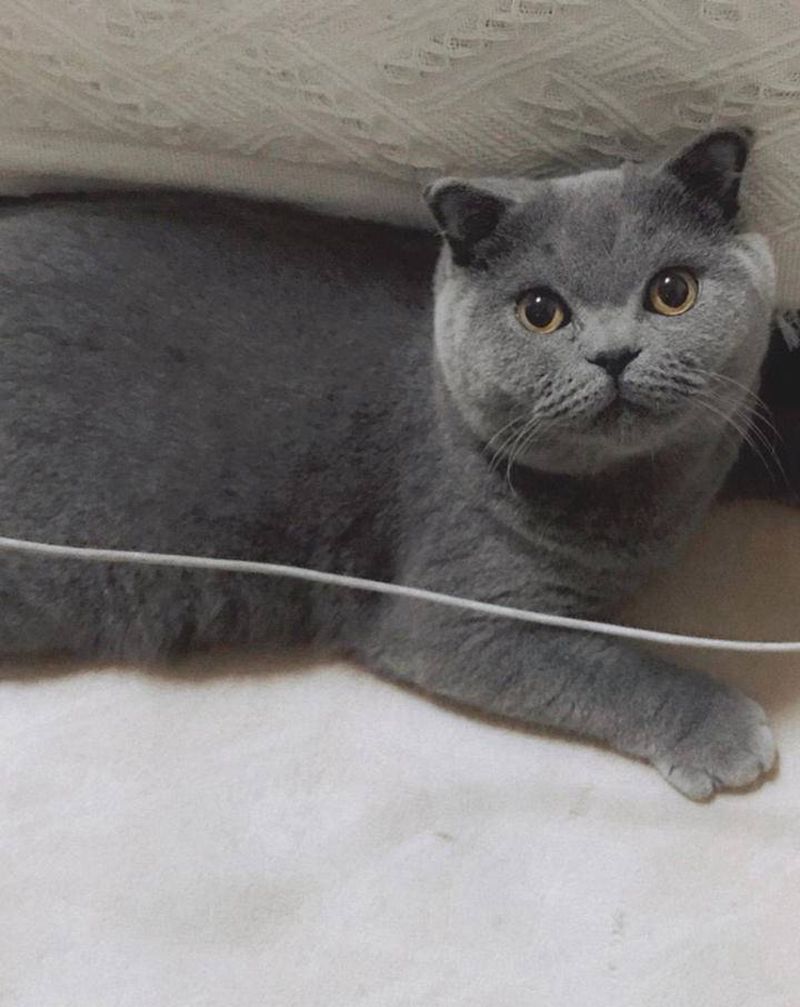 自家宝宝纹身图片_点刺纹身图案