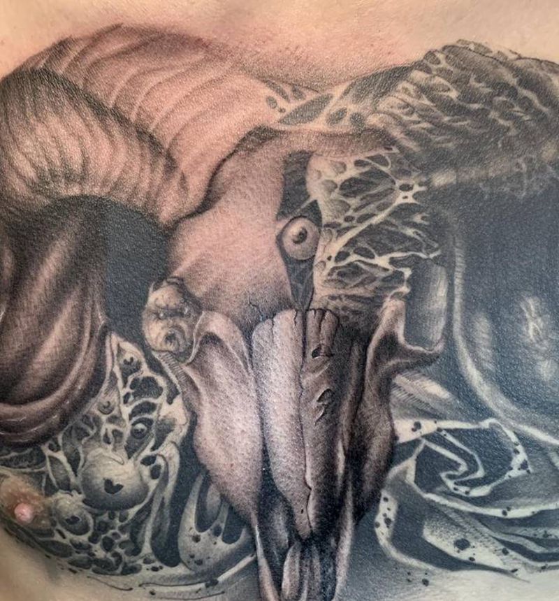 暗黑羊头纹身图片_胸部纹身图案