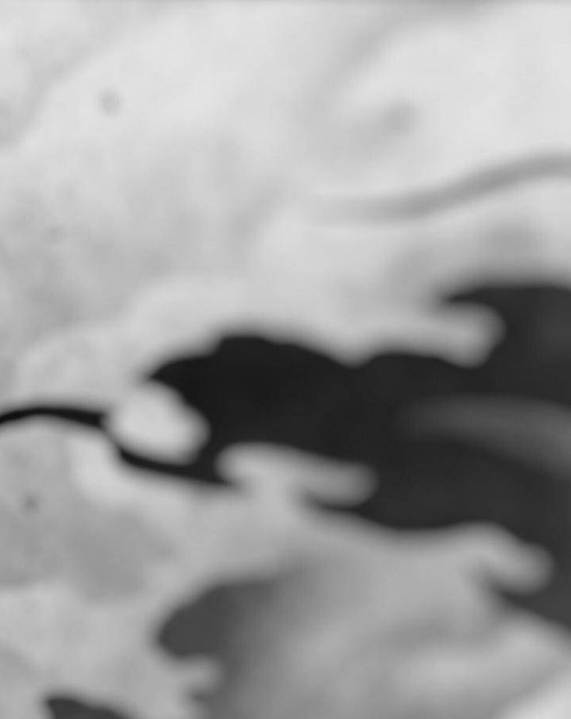 【云帆】纹身图片_手臂水墨祥云纹身图案