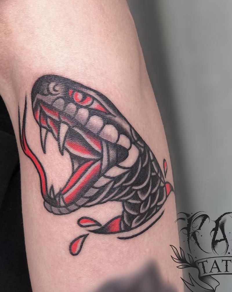 old school 蛇头纹身图片_手臂Old School蛇纹身图案