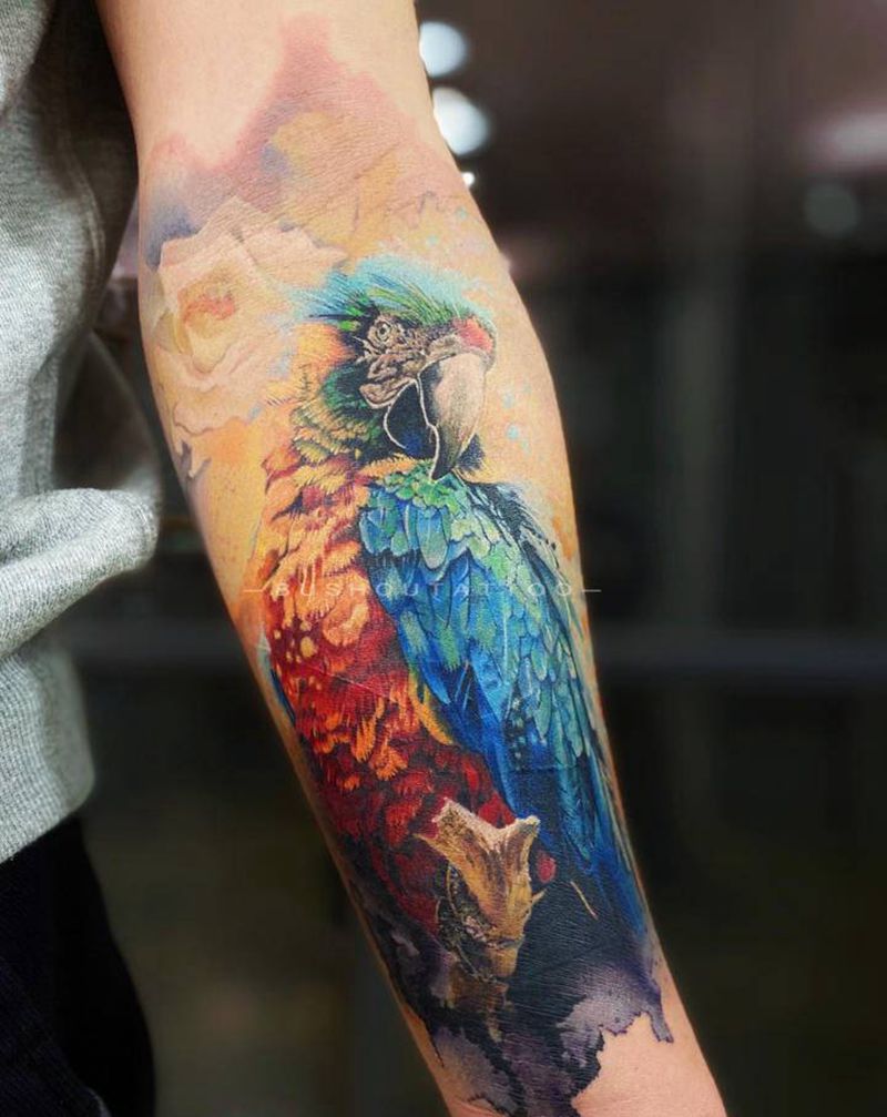 金刚鹦鹉纹身图片_手臂欧美写实水彩纹身图案
