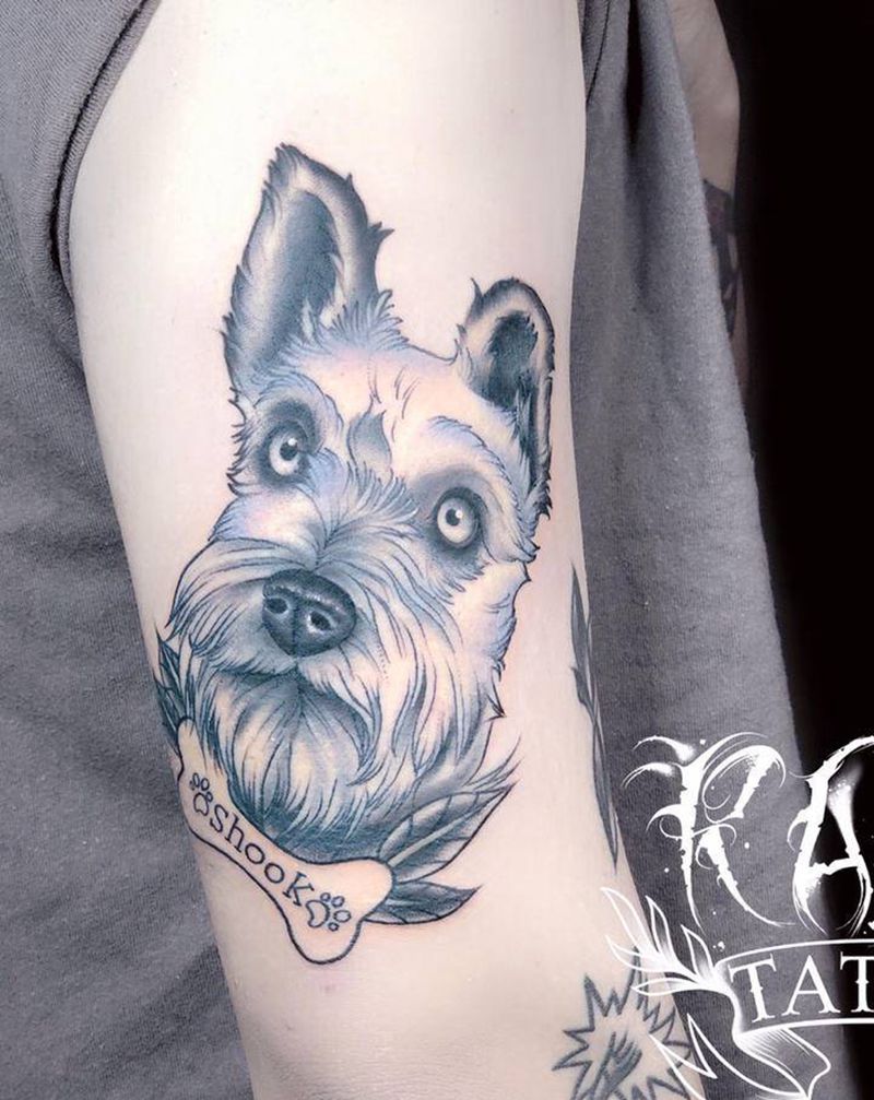 舒克纹身图片_手臂New School