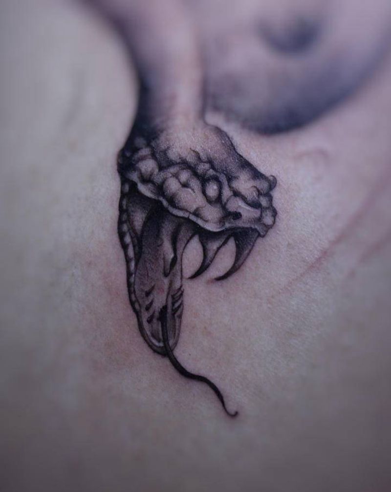 蛇局部纹身图片_背部欧美写实纹身图案