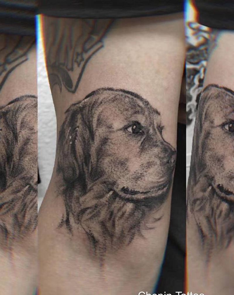 金毛头像纹身图片_手臂欧美写实狗纹身图案