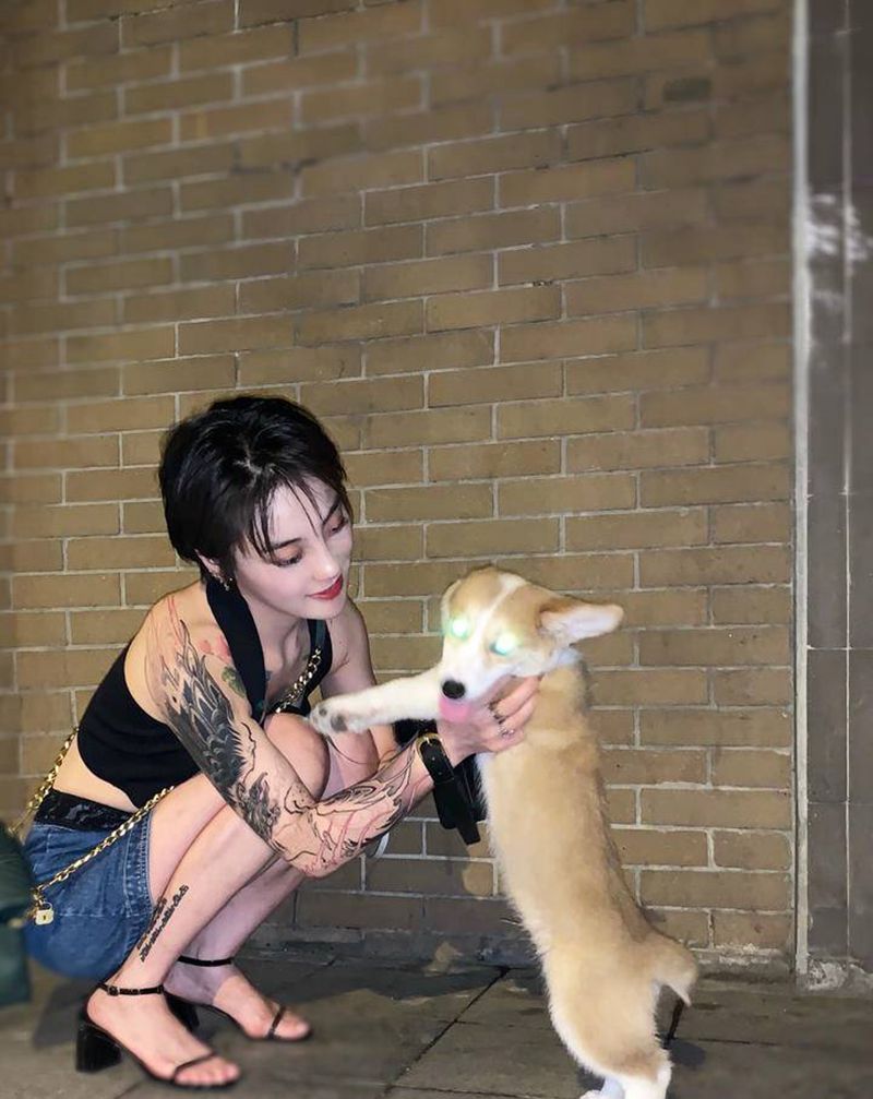 钛合金狗眼 闪瞎你纹身图片_手臂新传统纹身图案