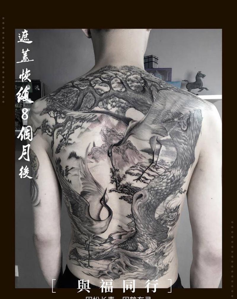 满背遮盖 旧纹身恢复8个月纹身图片_背部遮盖纹身图案