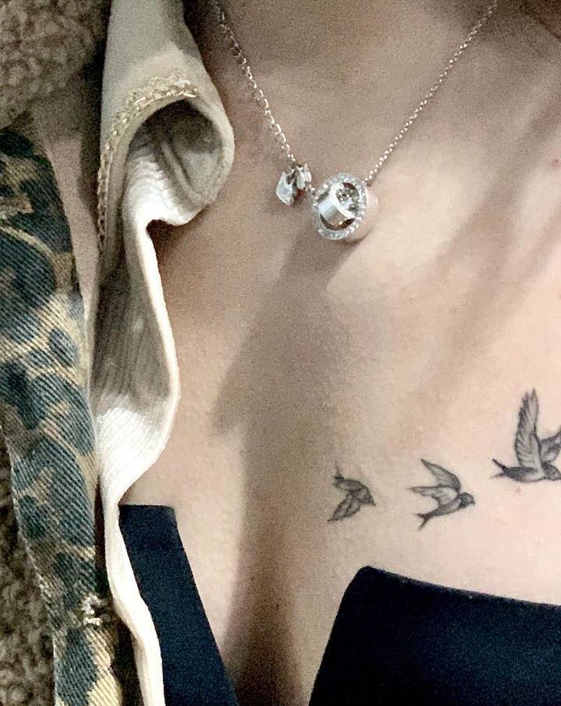 燕子纹身图片_胸部纹身图案