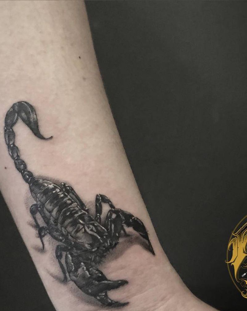 疤痕遮盖-小蝎子一枚纹身图片_手臂手部欧美写实纹身图案