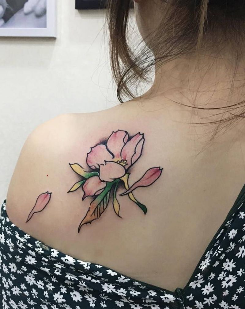 樱花纹身图片_肩部背部新传统梨花桃花后肩纹身图案