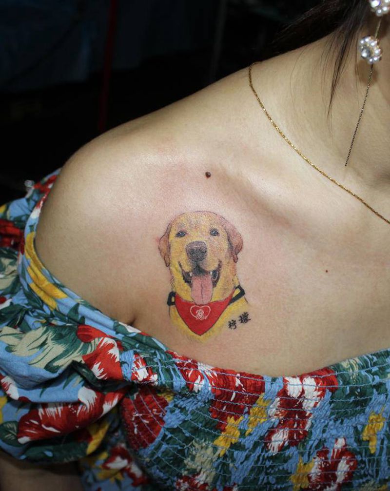 金毛纹身图片_胸部欧美写实新传统金毛狗纹身图案