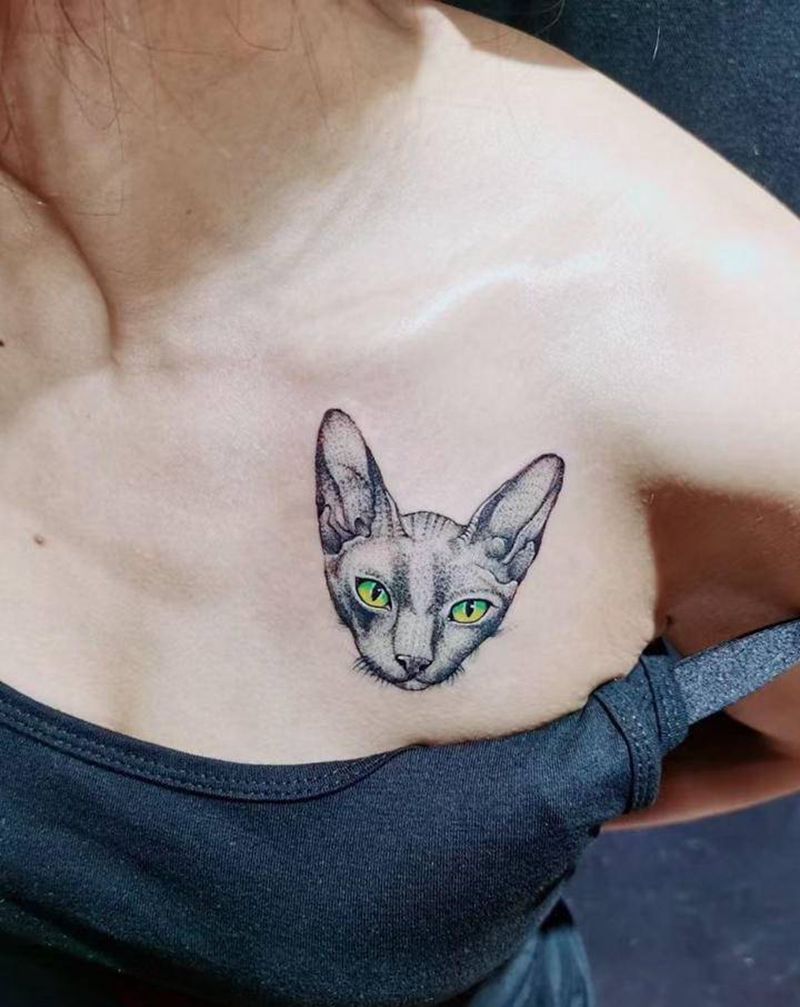 猫咪纹身图片_胸部欧美写实点刺纹身图案