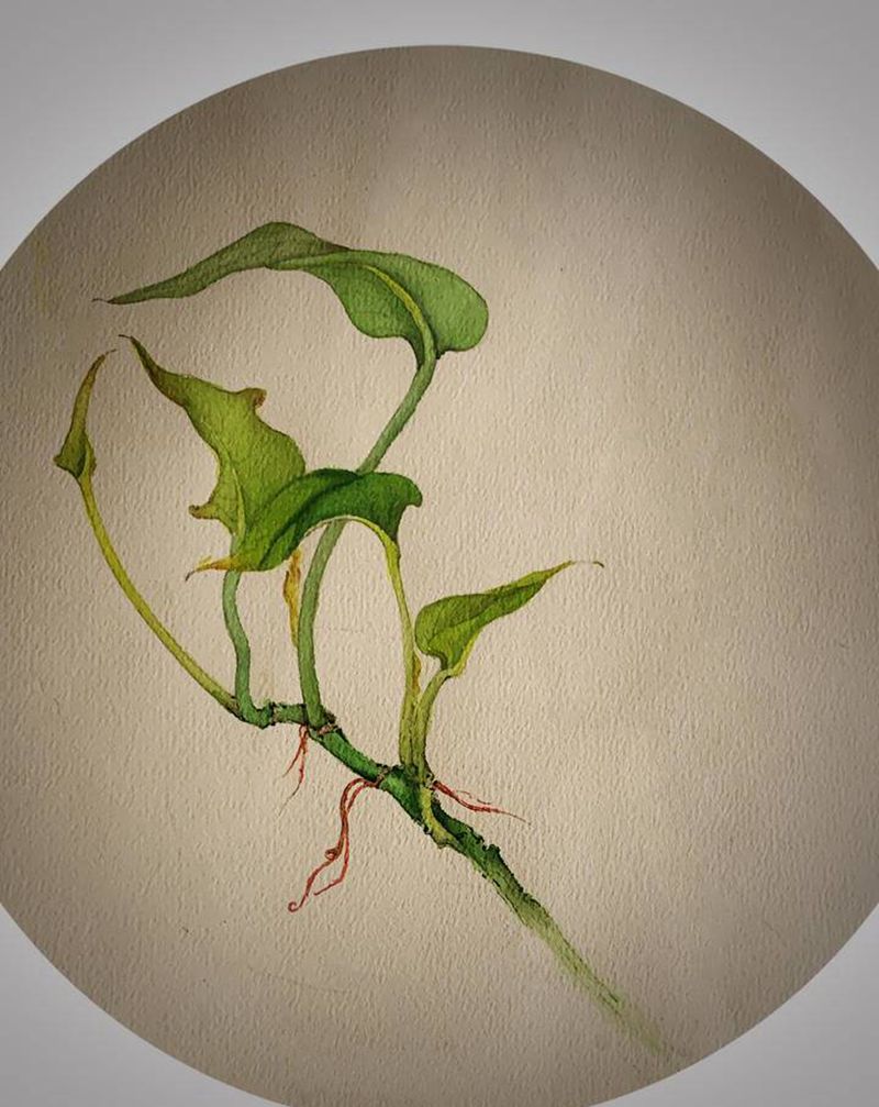 原创手稿纹身图片_水墨纹身图案