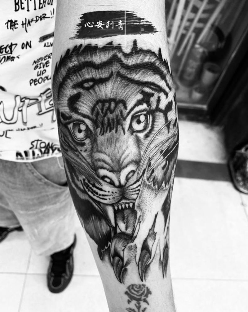 老虎纹,广元纹身纹身图片_手臂腿部新传统欧美写实纹身图案
