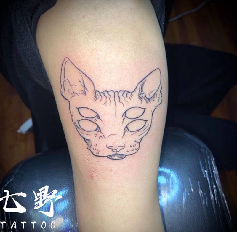 无毛猫纹身图片_手臂纹身图案