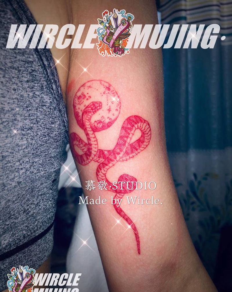 小红蛇纹身图片_手臂蛇小清新纹身图案