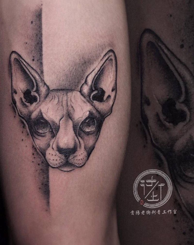 猫纹身图片_腿部New School纹身图案