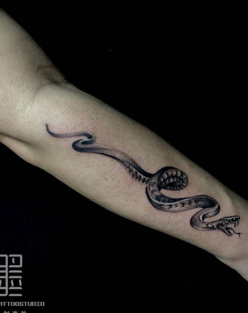 蛇纹身图片_手臂欧美写实蛇纹身图案
