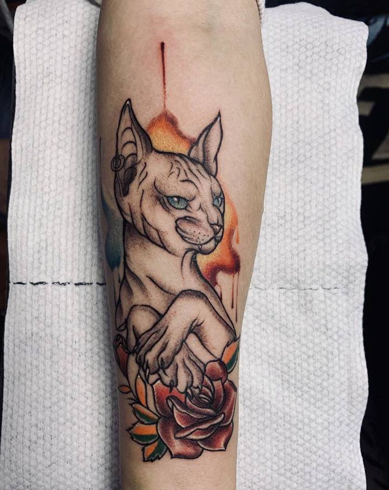 无毛猫。纹身图片_手臂Old School纹身图案