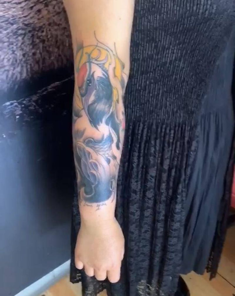 鹤纹身图片_手臂新传统纹身图案