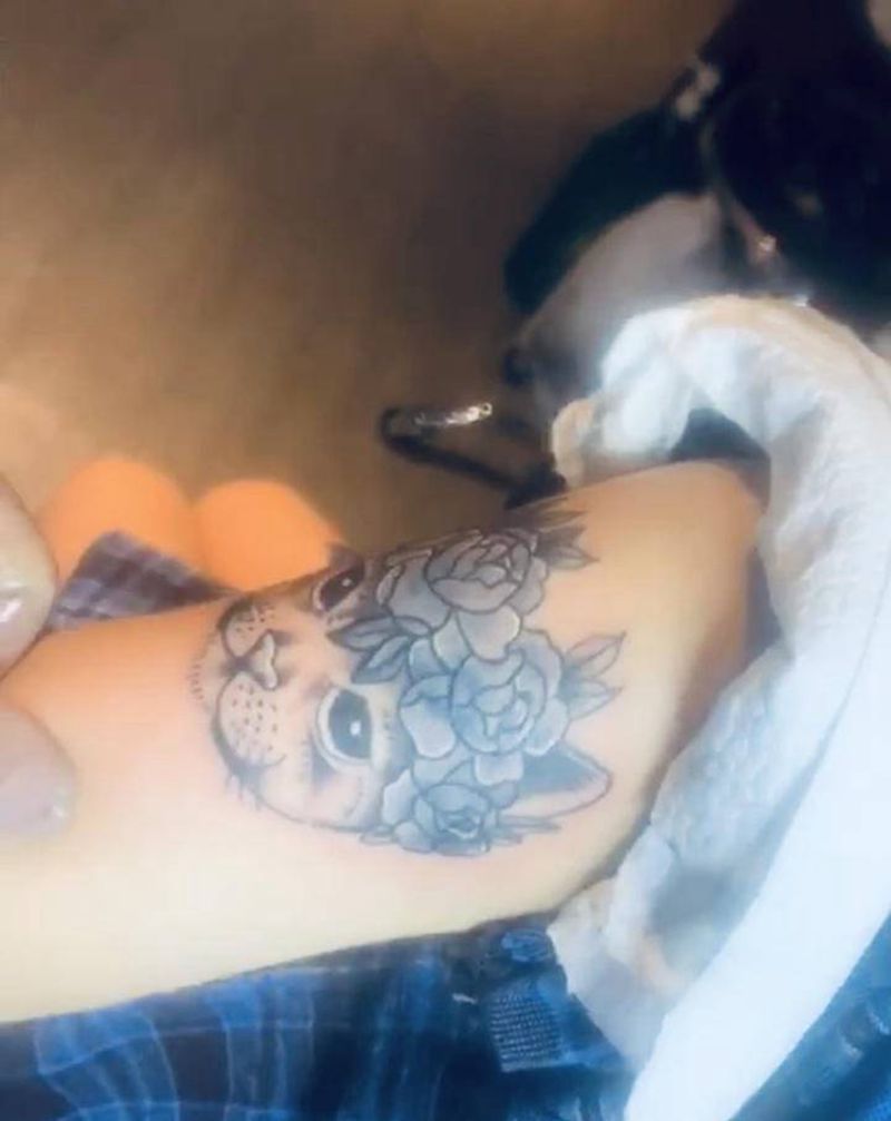 猫纹身图片_手臂纹身图案