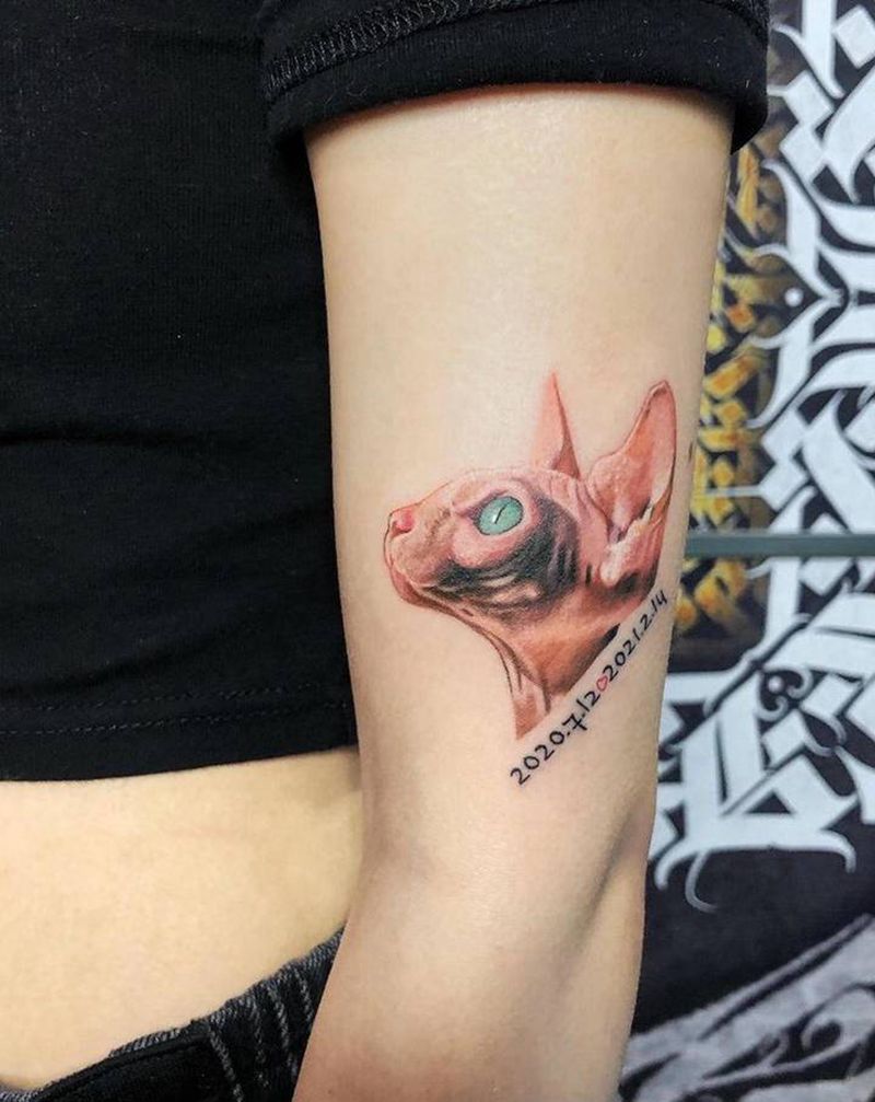 情侣纹身：无毛猫纹身图片_手臂写实情侣纹身图案