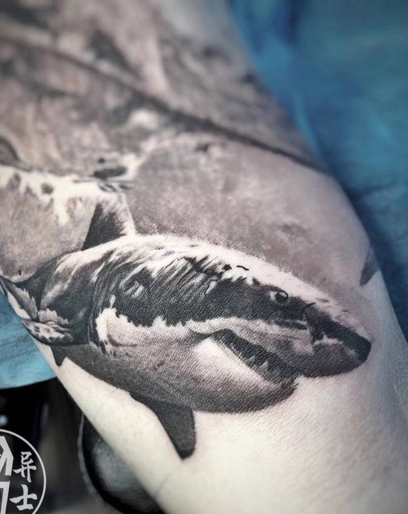 鲨鱼纹身图片_手臂欧美写实纹身图案