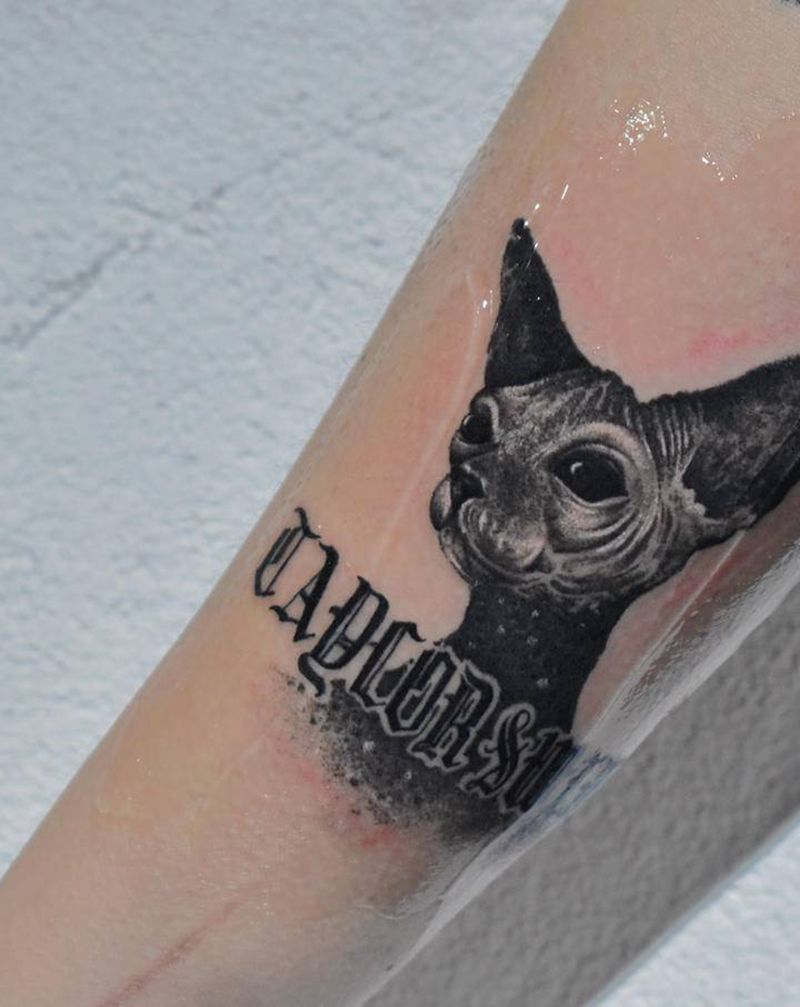 无毛猫纹身图片_手臂欧美写实无毛猫写实纹身图案