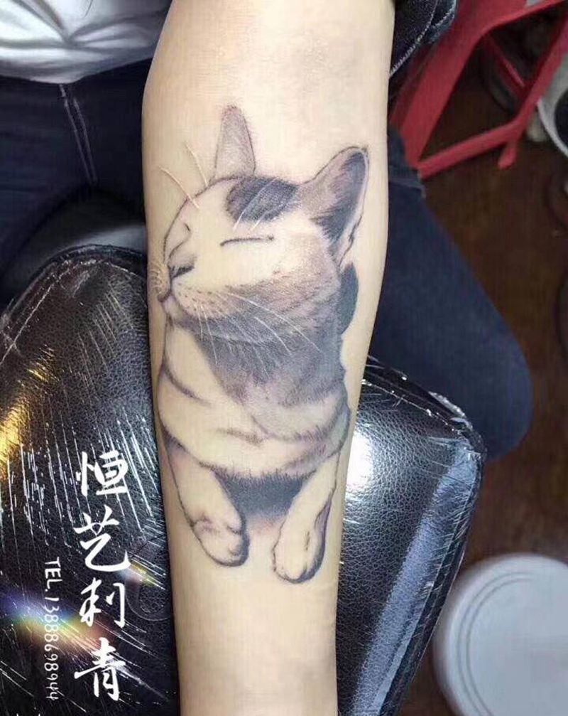 小猫咪纹身图片_手臂纹身图案