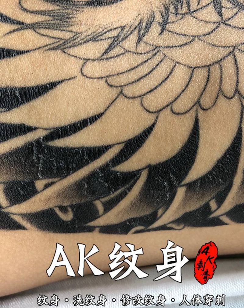 凤凰满背恢复结痂局部纹身图片_胸部新传统老传统纹身图案
