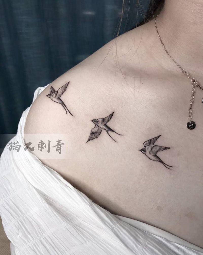 燕子纹身图片_肩部纹身图案