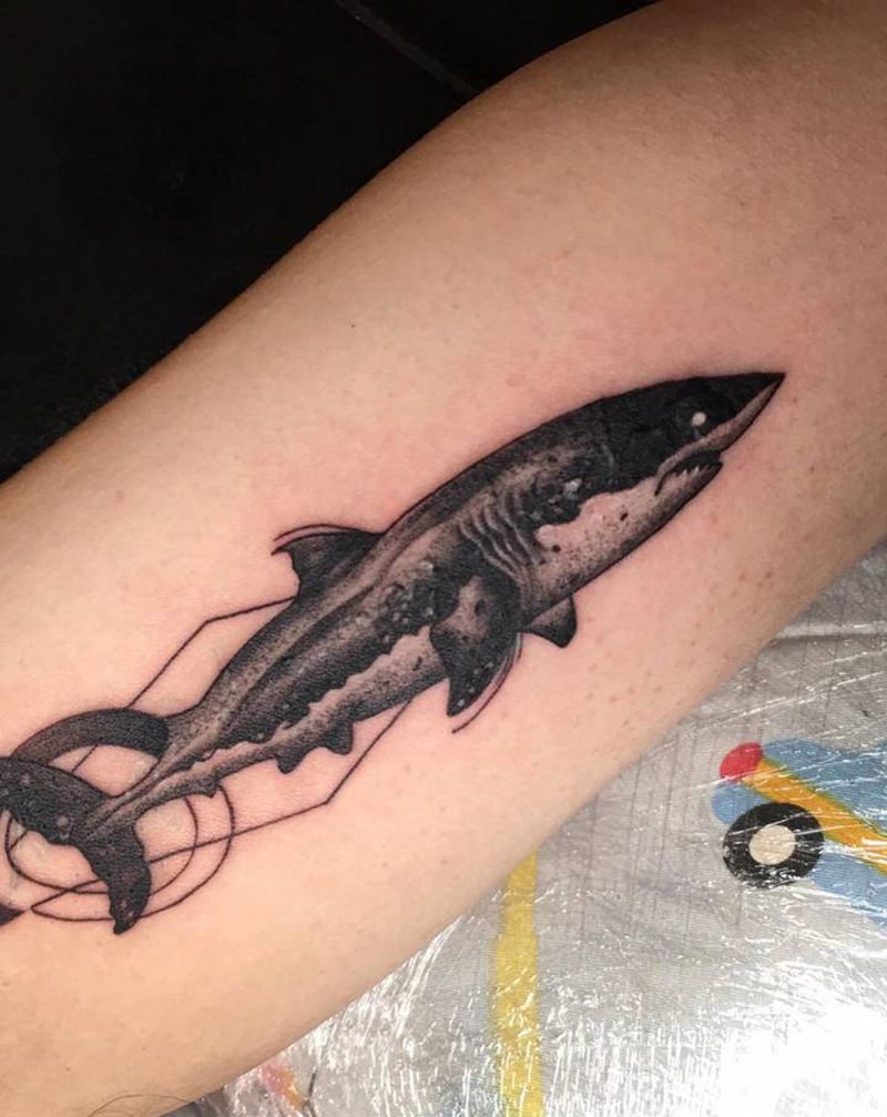 鲨鱼纹身图片_手臂点刺鲨鱼纹身图案
