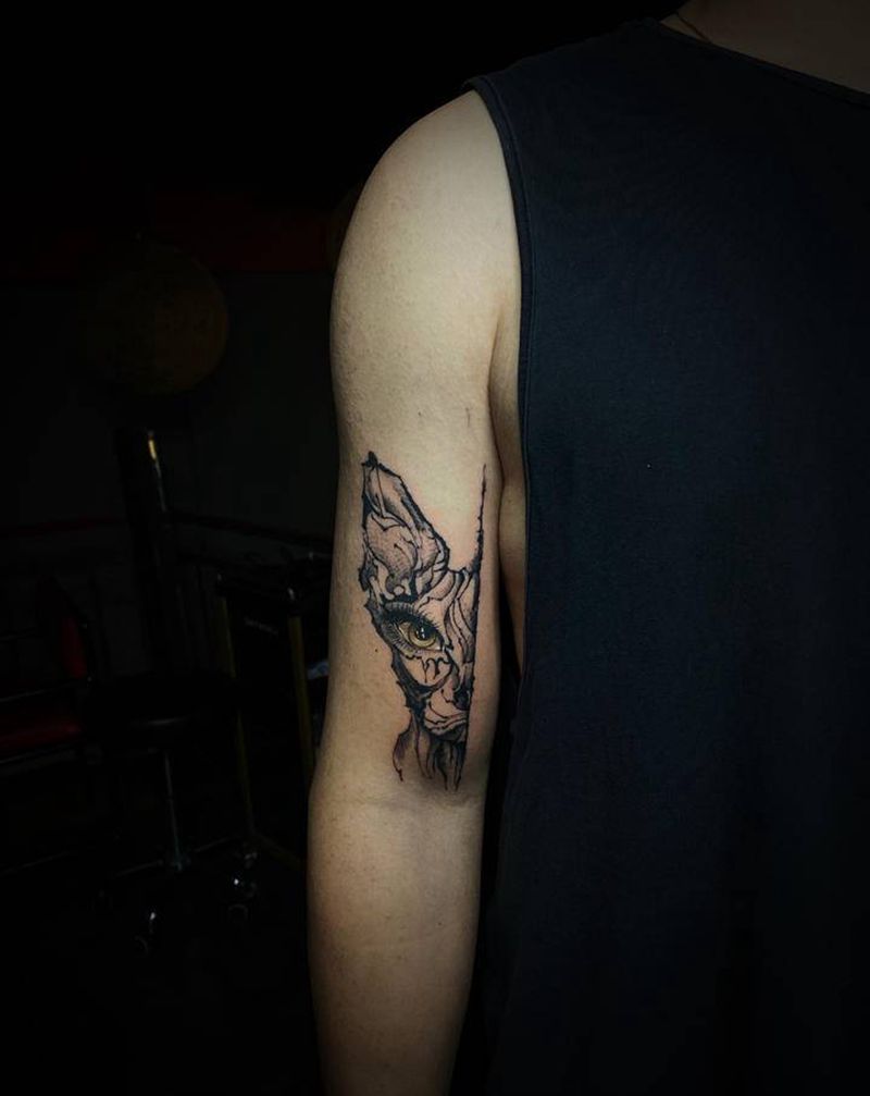 猫纹身图片_手臂纹身图案