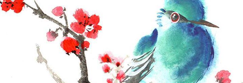 梅花鸟纹身图片_肩部腰部水彩纹身图案