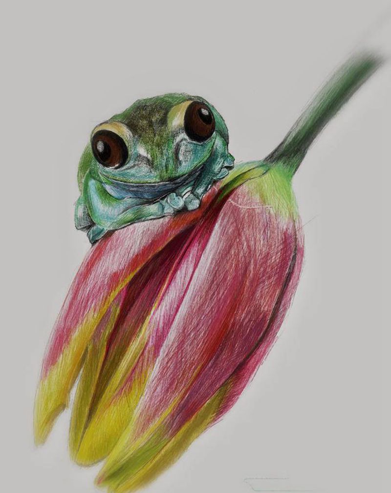 树蛙纹身图片_欧美写实纹身图案