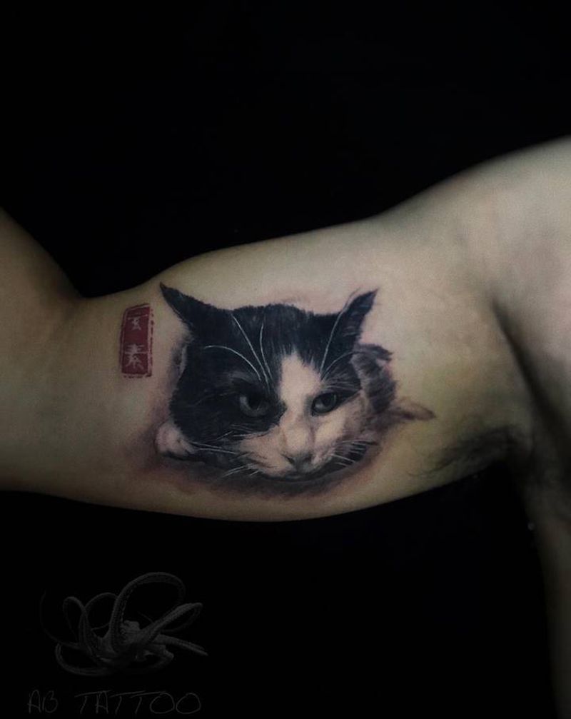 俩只喵纹身图片_手臂胸部欧美写实纹身图案