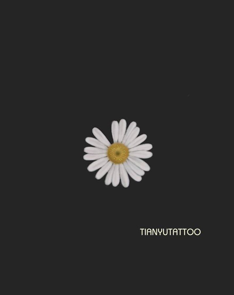 客稿 小雏菊纹身图片_肩部New School纹身图案